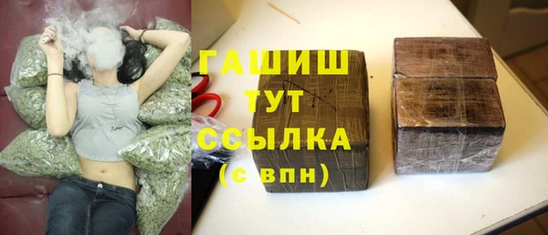 прущие грибы Заречный