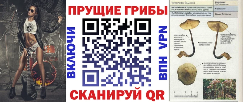 Псилоцибиновые грибы MAGIC MUSHROOMS  как найти закладки  darknet какой сайт  Черняховск 